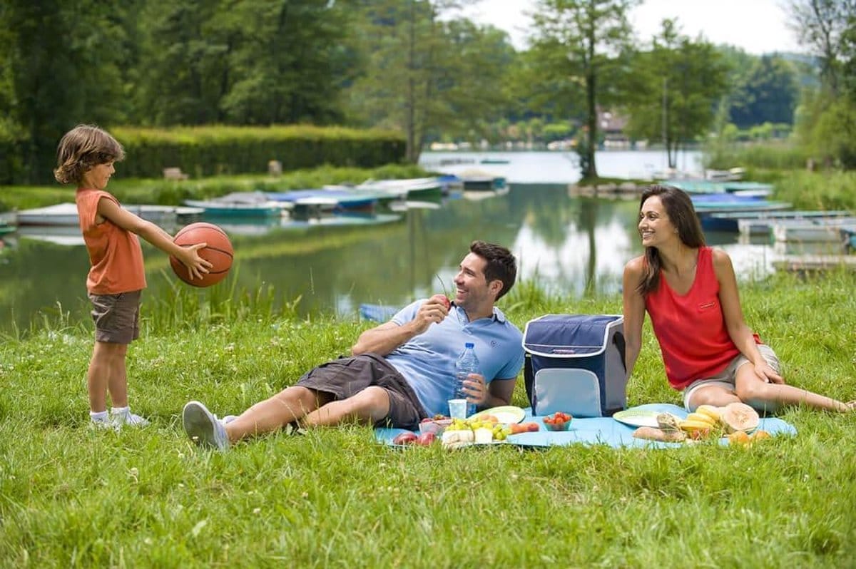 Campingaz koeltas - Fold'n cool - Makkelijk opvouwbaar - 20 liter - Met koelelement - Blauw - Afbeelding 3