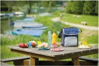 Campingaz Fold 'n Cool Koeltas - 20 Liter - Blauw/grijs - Afbeelding 3